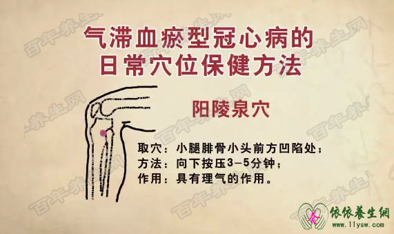 阳陵泉.png