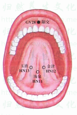 龊交穴.gif