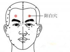 阳白.jpg